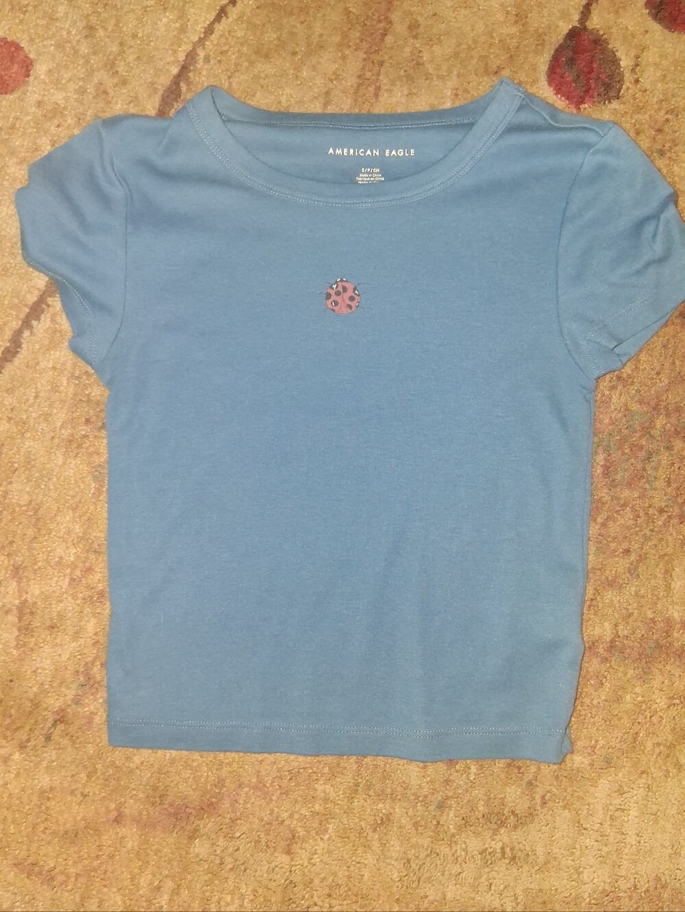 American Eagle Outfitters Blue Short-Sleeve Tee with Small Ladybug Motif
